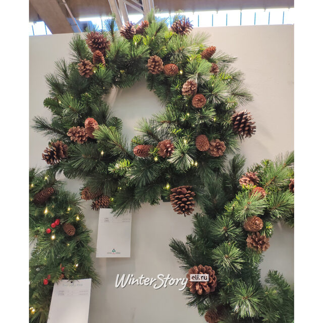 Венок с лампочками Пайнридж с шишками 61 см, 50 теплых белых LED ламп на батарейках, ЛЕСКА + ПВХ National Tree Company