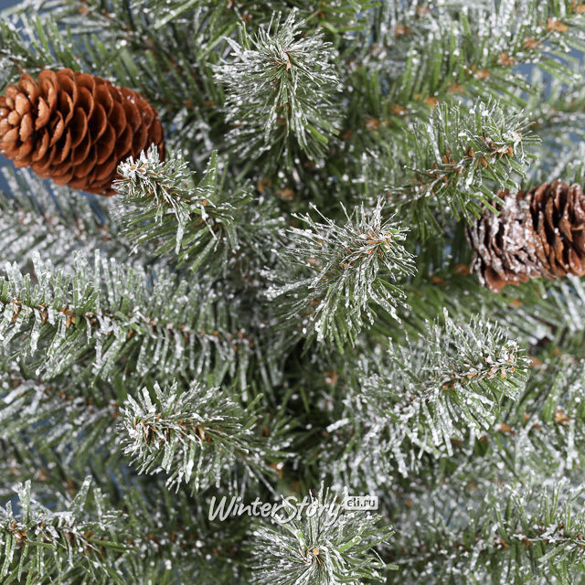 Настольная елка Первые заморозки 91 см, ПВХ National Tree Company (Нейшнл Три Компани)