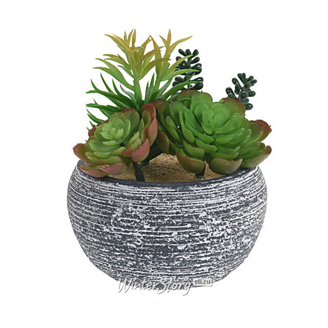 Искусственное растение в кашпо Succulent: Pacificazio 17 см Koopman