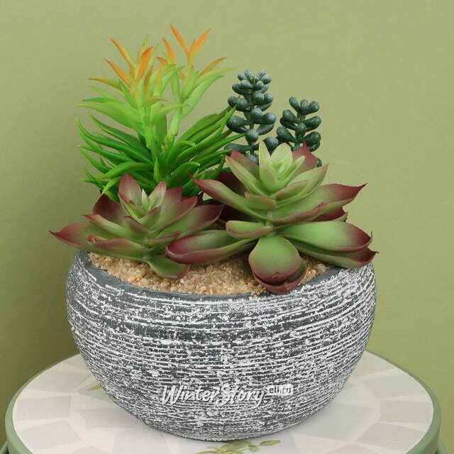 Искусственное растение в кашпо Succulent: Pacificazio 17 см Koopman