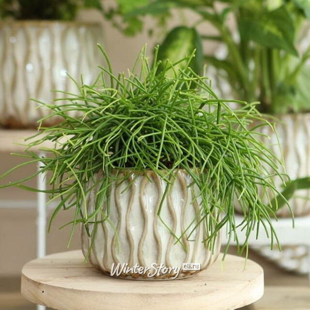 Керамическое кашпо Нуэва 15 см белое Ideas4Seasons