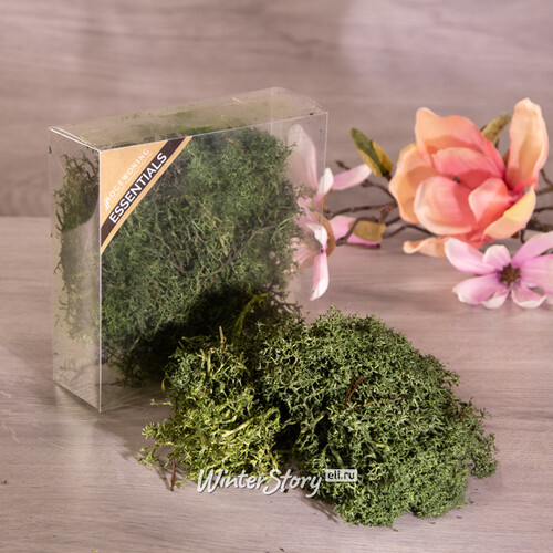Декоративный мох зеленый, 50 г Hogewoning