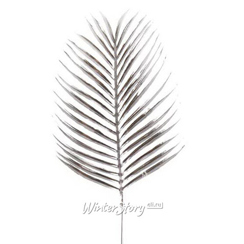 Декоративный лист Сереноа 80 см, серебряный Hogewoning