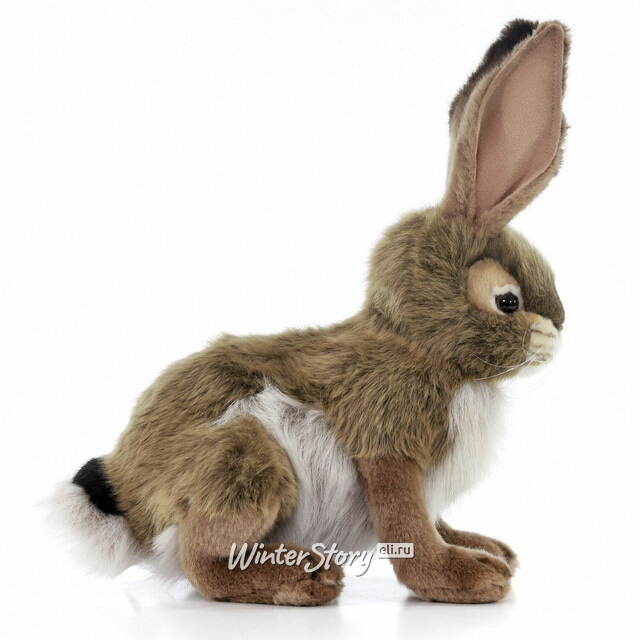 Мягкая игрушка Заяц чернохвостый 30 см Hansa Creation