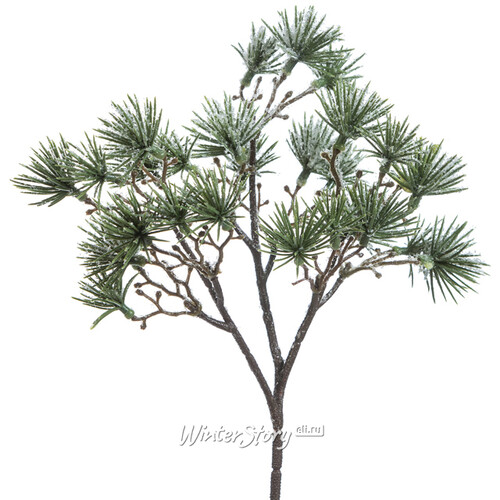 Хвойная ветка Virginia Pine заиндевелая 22 см, ЛИТАЯ 100% Hogewoning