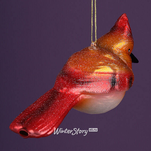 Стеклянная елочная игрушка Птичка - Кардинал 14 см, подвеска Winter Deco