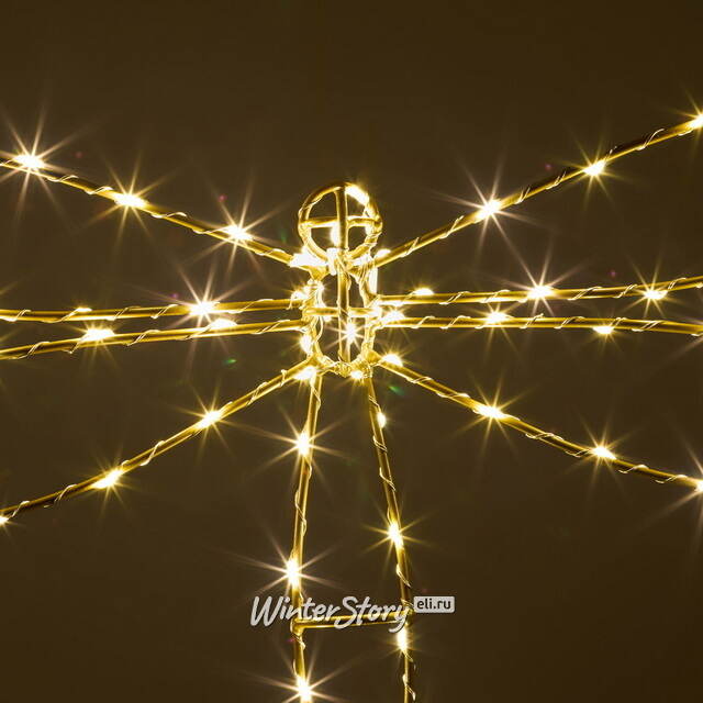 Плоское светодиодное украшение Стрекоза 50 см, 70 теплых белых LED ламп, IP44 Winter Deco