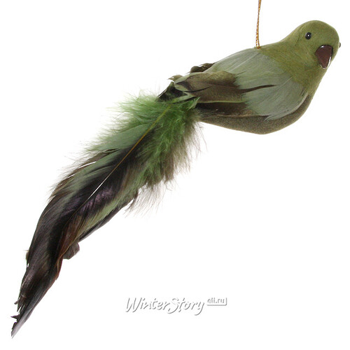 Елочная игрушка Длиннохвостая Птичка, 23 см, зеленый, подвеска ShiShi