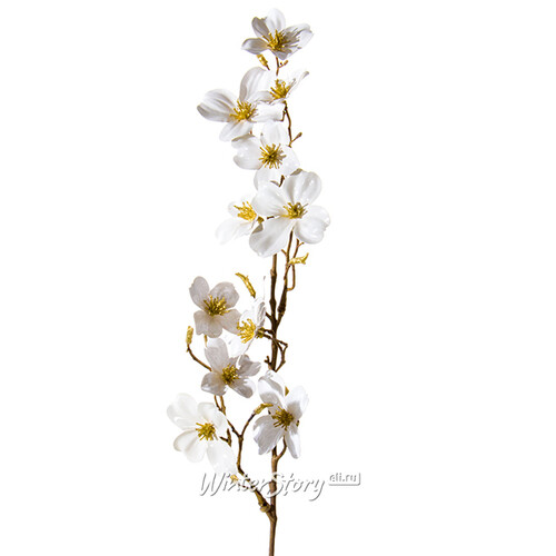 Ветка Цветущий Кизил белая 65 см ShiShi