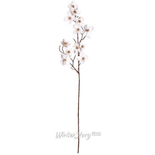 Ветка Цветущий Кизил белая 65 см ShiShi