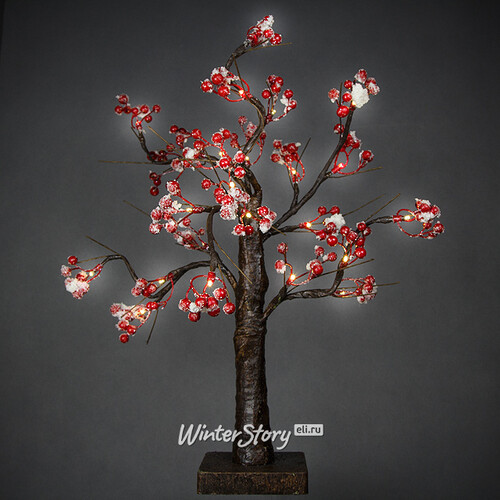Мини дерево заснеженное "Волшебные ягоды", на батарейках, 50 см, 24 LED ламп, теплый белый Kaemingk