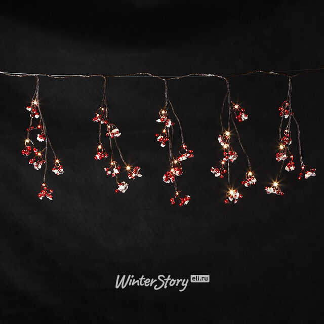Гирлянда Волшебные ягоды заснеженная, 150 см, 48 LED ламп, теплый белый Kaemingk