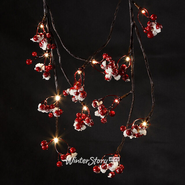 Гирлянда Волшебные ягоды заснеженная, 150 см, 48 LED ламп, теплый белый Kaemingk