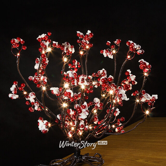 Гирлянда Волшебные ягоды заснеженная, 150 см, 48 LED ламп, теплый белый Kaemingk