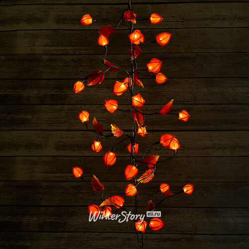 Гирлянда Физалис Оранжевый, 180 см, 32 теплые белые LED лампы Kaemingk
