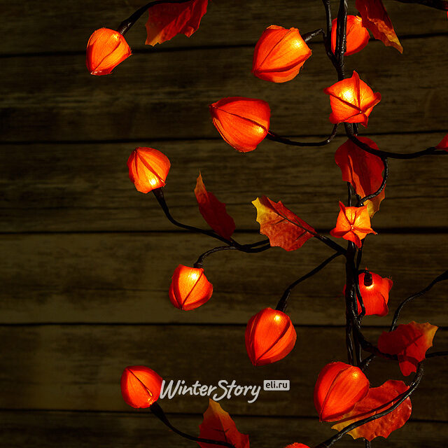 Гирлянда Физалис Оранжевый, 180 см, 32 теплые белые LED лампы Kaemingk