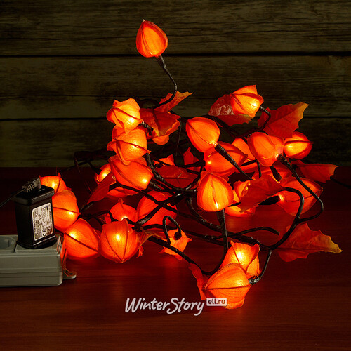 Гирлянда Физалис Оранжевый, 180 см, 32 теплые белые LED лампы Kaemingk