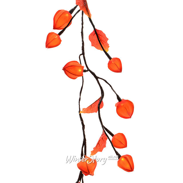 Гирлянда Физалис Оранжевый, 180 см, 32 теплые белые LED лампы Kaemingk