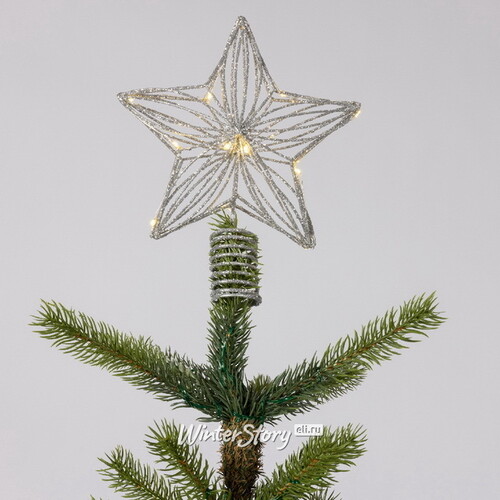 Светящаяся звезда на елку Кристобаль 25 см, 12 теплых белых LED ламп, на батарейках Kaemingk