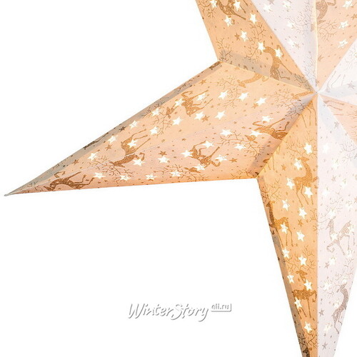 Звезда светящаяся из бумаги, 60 см, бело-серебряная Kaemingk