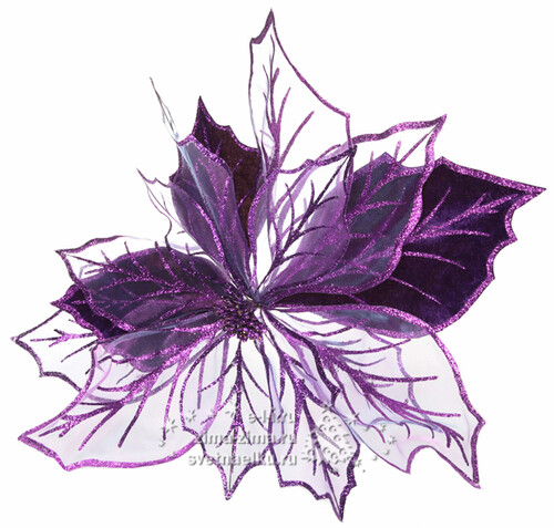 Пуансеттия "Царская", прозрачно-фиолетовая, 50см Billiet