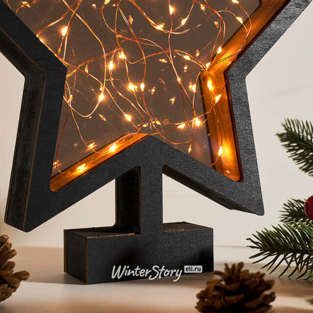 Декоративный светильник Звезда Night light 28*26 см, 40 теплых белых микро LED ламп, на батарейках, IP20 Kaemingk