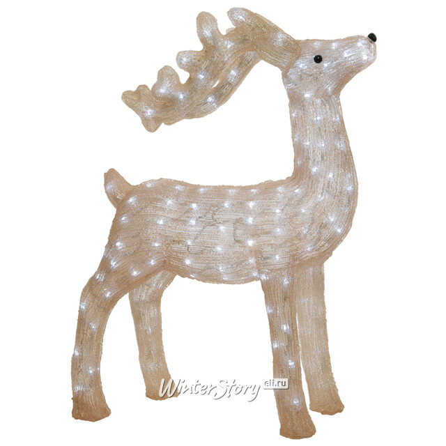 Светящийся олень Красавчик 73 см, 200 LED ламп, IP44 Kaemingk