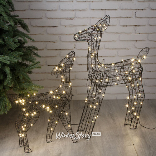 Набор светящихся оленей Gold Coast - Deers, 2 шт, 59-78 см, 120 теплых белых Big&Bright LED ламп, IP44 Kaemingk