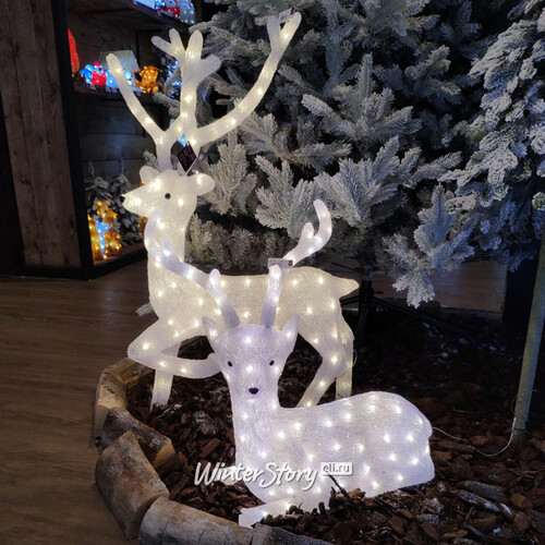 Светодиодный олень Леонард в северном танце 103 см, 100 теплых/холодных белых LED ламп, IP44 Kaemingk