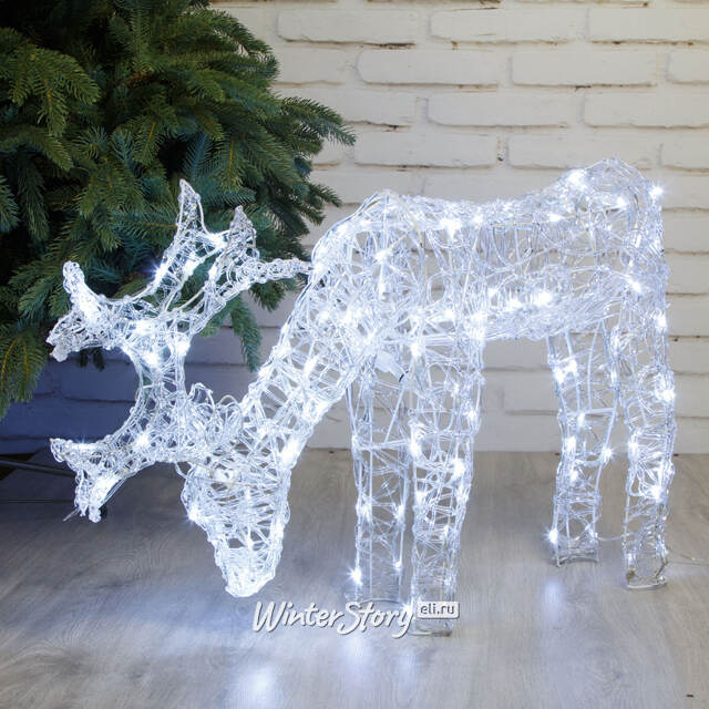 Светящийся олень Juno Deer 83*53 см, 100 холодных белых LED ламп с мерцанием, IP44 Kaemingk