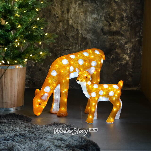 Светящийся олень Брэнсон 38 см, 60 холодных белых LED ламп, таймер, IP44, уцененный Kaemingk