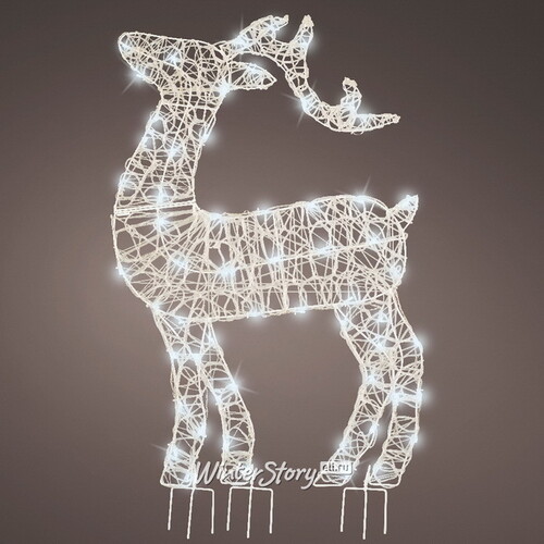 Светящийся олень Фостер 89 см, 60 холодных белых LED ламп с мерцанием, таймер, IP44 Kaemingk