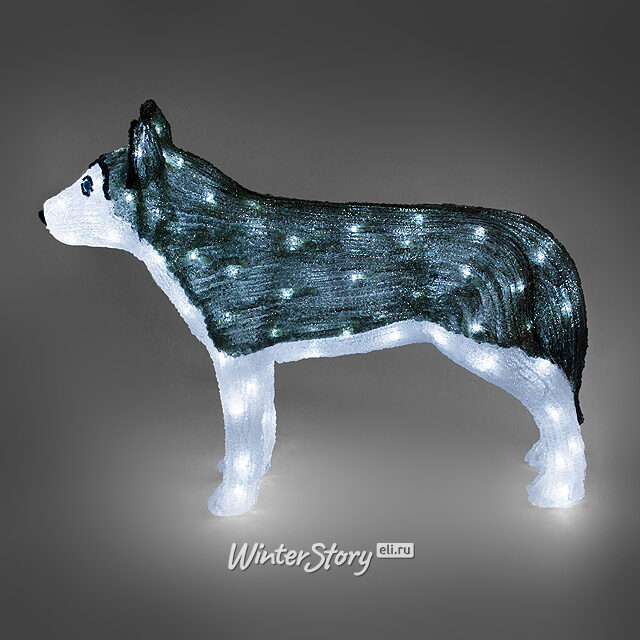 Собака Хаски светящаяся, 69 см, уличный, акрил, 100 холодных белых LED ламп, IP44 Kaemingk