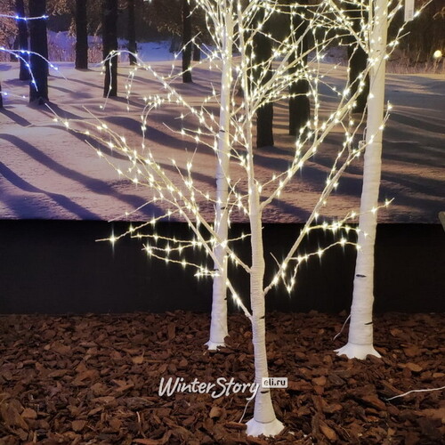 Березка светодиодная 60 см уличная, 24 LED ламп, теплый белый Kaemingk
