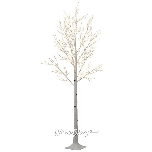 Светодиодное дерево Белая Береза 220 см, 750 теплых белых микро LED ламп, IP44 Kaemingk