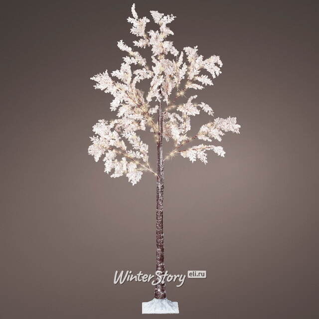 Светодиодное дерево White Cercis 180 см, 180 теплых белых микро LED ламп, IP44 Kaemingk (Кейминг)