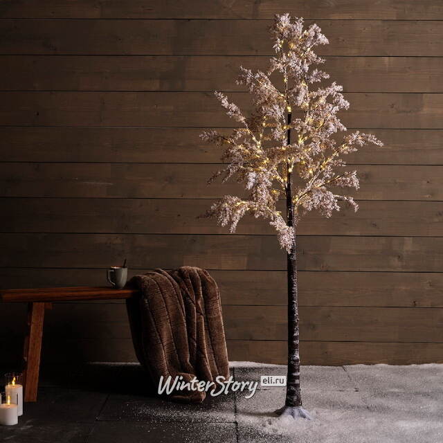 Светодиодное дерево White Cercis 210 см, 270 теплых белых микро LED ламп, IP44 Kaemingk