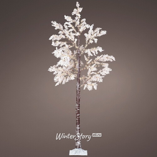 Светодиодное дерево White Cercis 210 см, 270 теплых белых микро LED ламп, IP44 Kaemingk