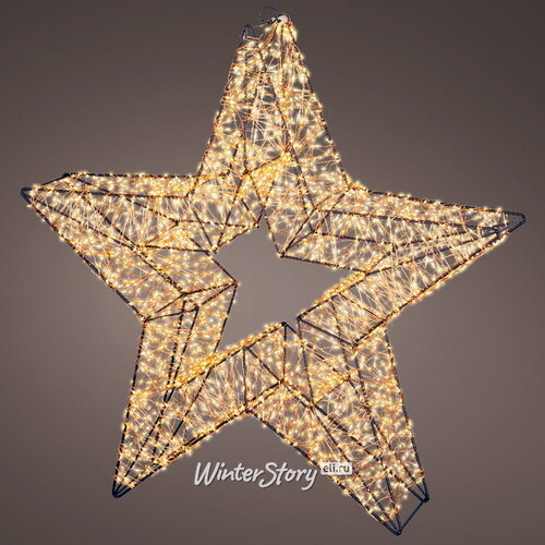 Светодиодное украшение Звезда Тессеус 58 см, 3000 теплых белых LED ламп, таймер, IP44 Kaemingk