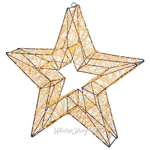 Светодиодное украшение Звезда Тессеус 58 см, 3000 теплых белых LED ламп, таймер, IP44 Kaemingk
