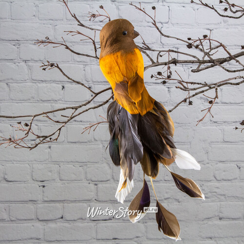 Декоративное украшение Колумбийская Птица Чезаре 25 см, клипса ShiShi