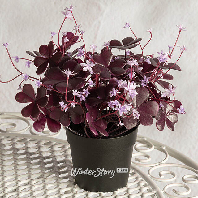 Искусственный цветок в горшке Оксалис 22 см Summer Deco