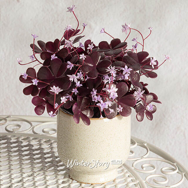 Искусственный цветок в горшке Оксалис 22 см Summer Deco