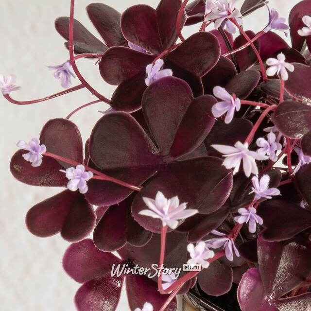 Искусственный цветок в горшке Оксалис 22 см Summer Deco