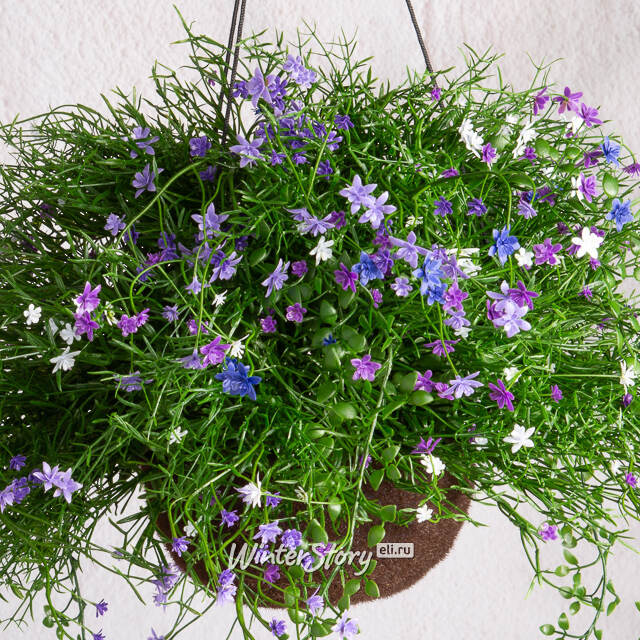 Искусственный цветок в кашпо Матера - Нежный Сонет 43 см Summer Deco