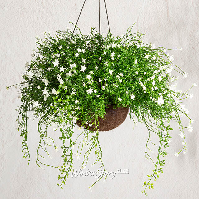 Искусственный цветок в кашпо Матерра - Магический Сад 43 см Summer Deco