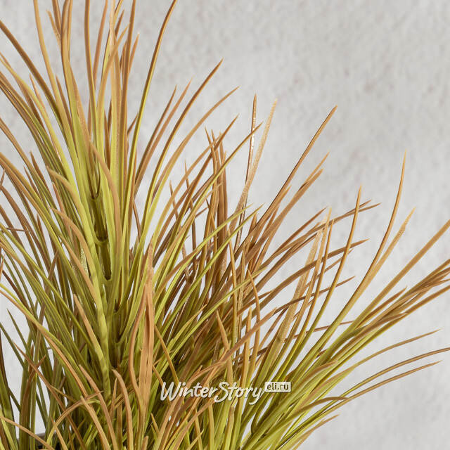 Искусственное растение в горшке Акорус - Braunton 26 см Summer Deco