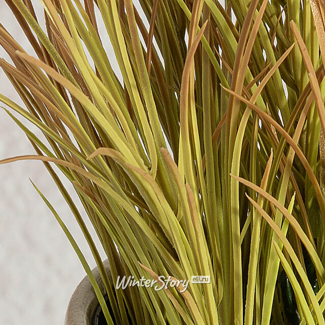 Искусственное растение в горшке Акорус - Braunton 26 см Summer Deco