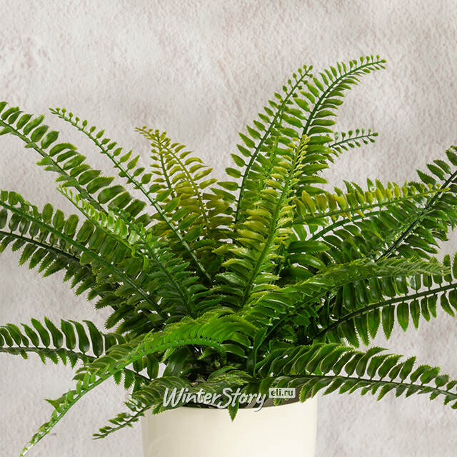 Искусственный цветок в горшке Папоротник - Malmesbury 43 см Summer Deco