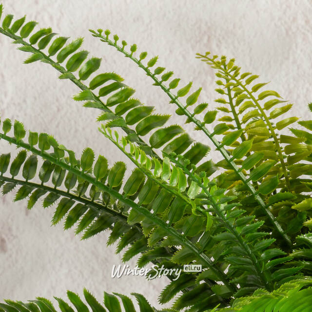 Искусственный цветок в горшке Папоротник - Malmesbury 43 см Summer Deco